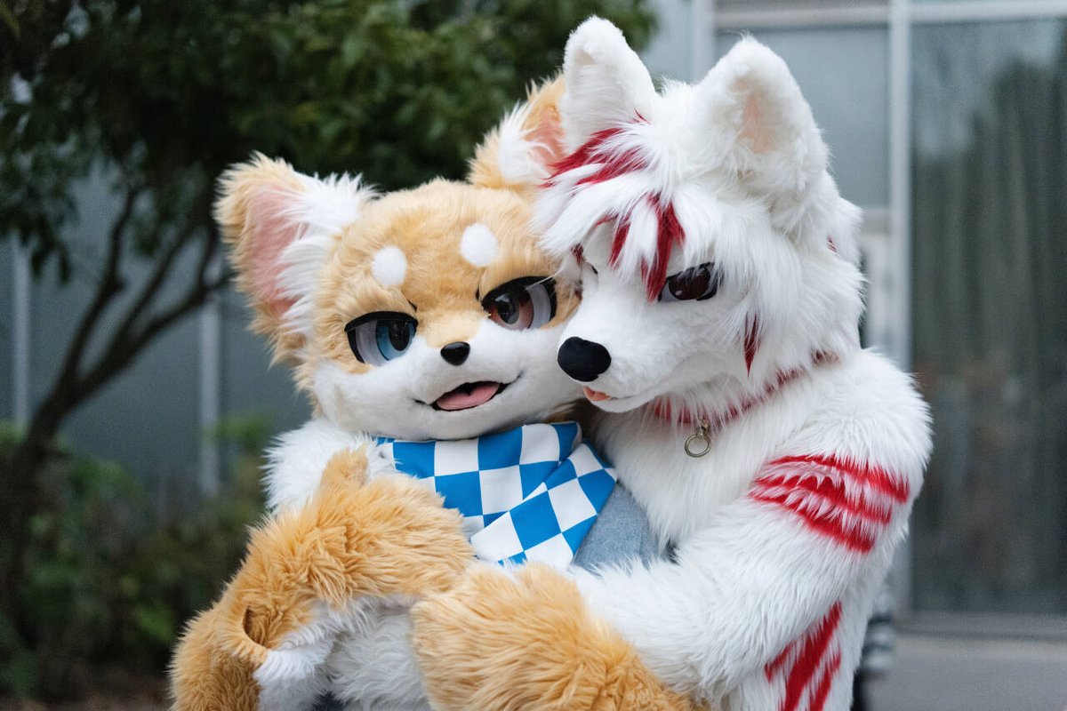 Deye-災犬 tweet media