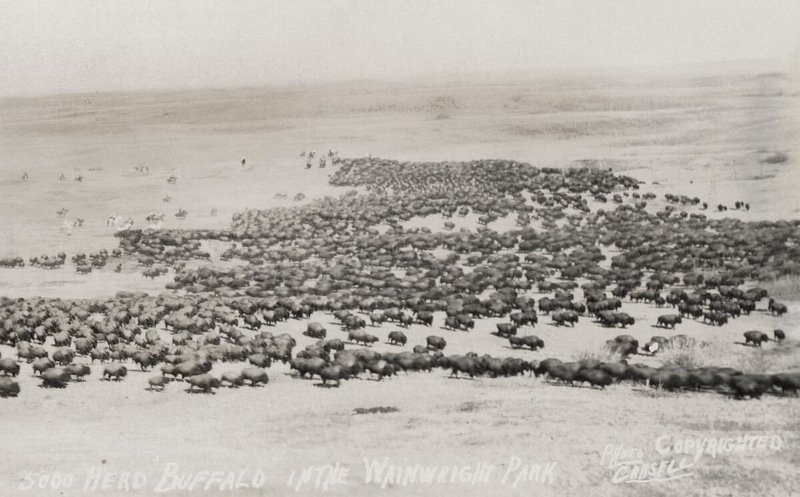 Sama Hoole tweet media