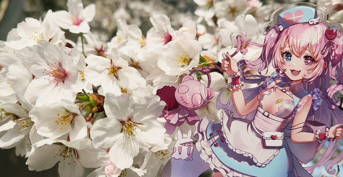 愛婪コリー@Vtuber準備中 tweet media