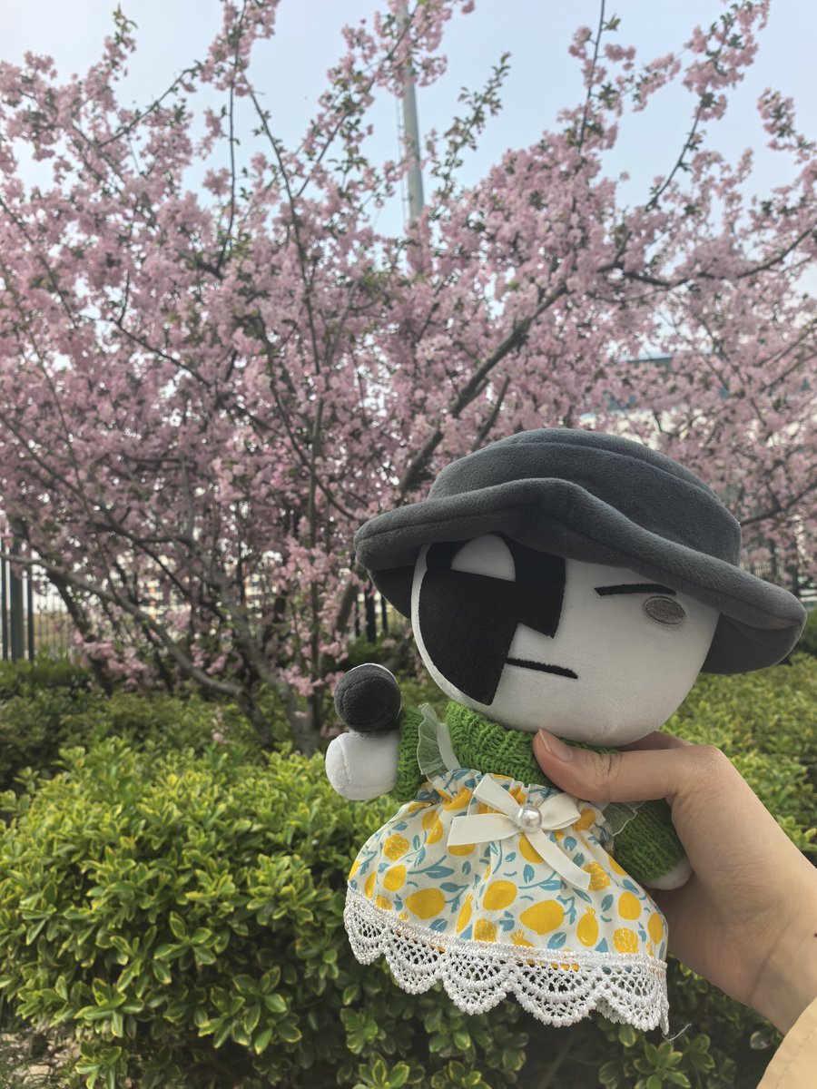 MOMIWANTCANDIES tweet media