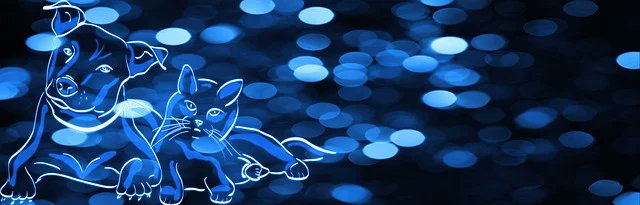 Kara Bugayova tweet media