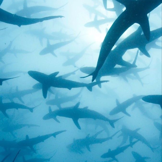 ‧₊˚🍓𝗆𝗂𝗅𝗈 ‧₊˚✩ follow limit💔 tweet media