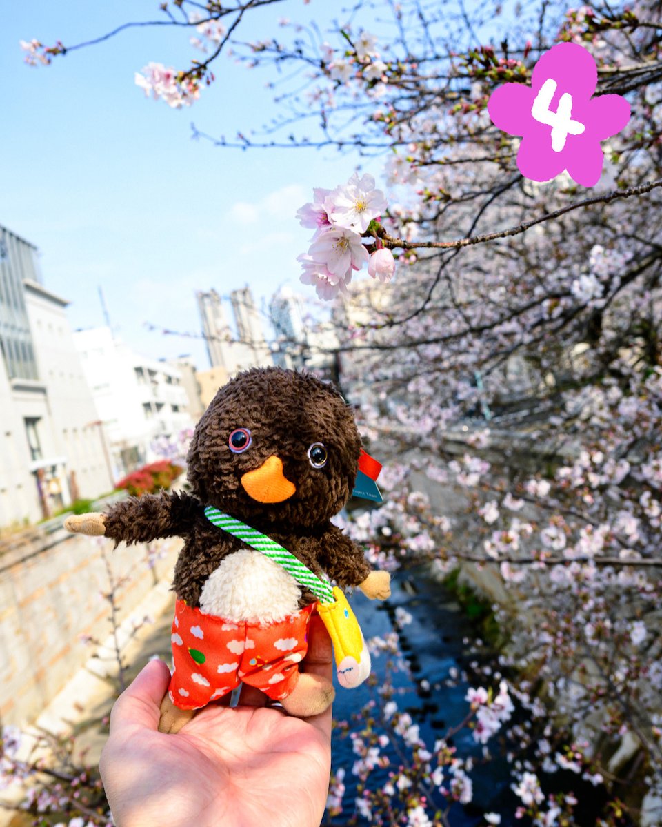 トガリちゃんねる tweet media