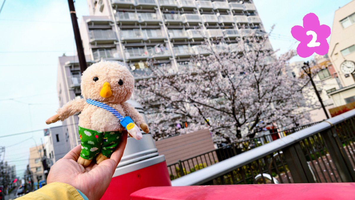 トガリちゃんねる tweet media