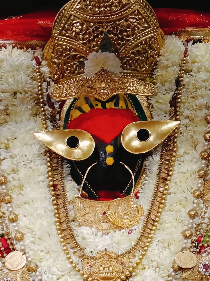 Vaishali Pandit tweet media