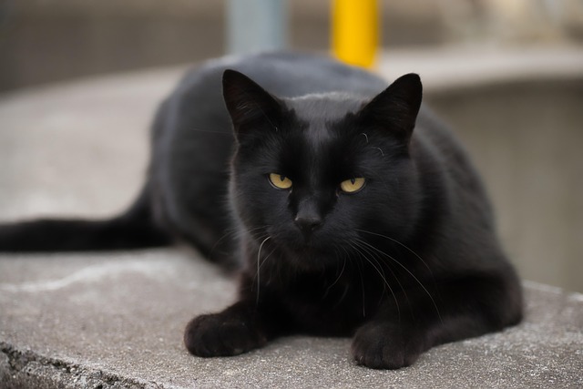 Greg Prince tweet media