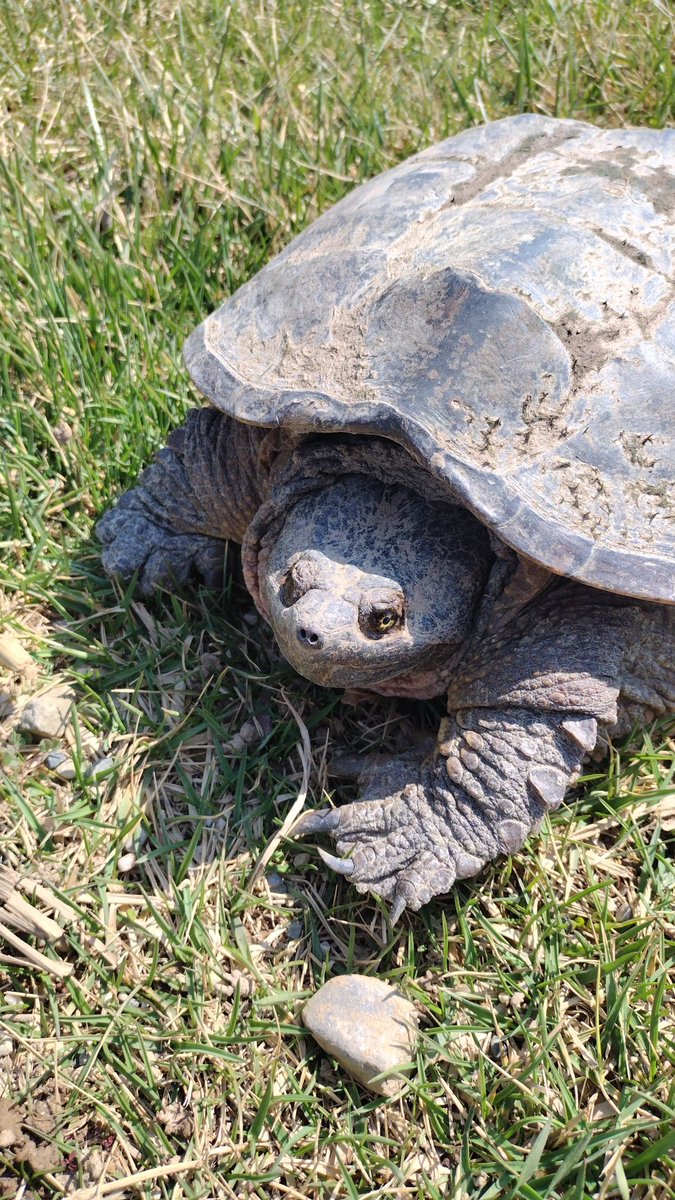 insomniac🇲🇽 tweet media