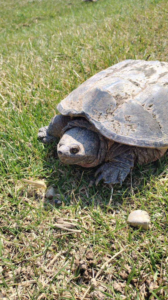 insomniac🇲🇽 tweet media