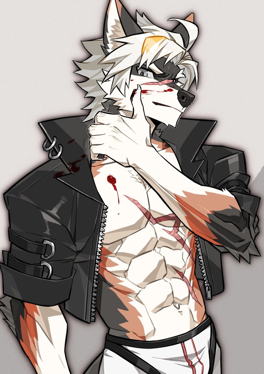 Zirgadze tweet media