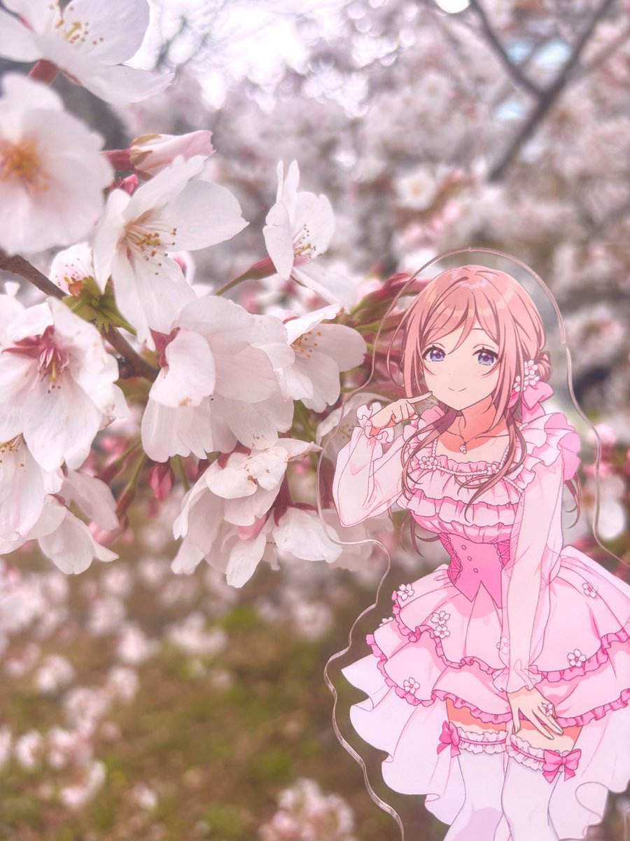 ゆぬこ tweet media