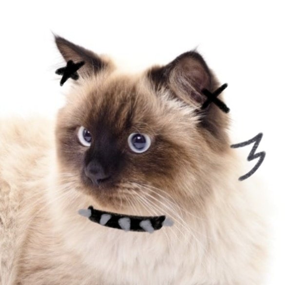 (CM!) 산화이온 tweet media