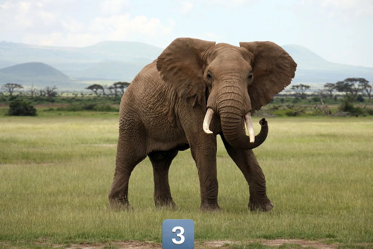 Nino🇸🇦 tweet media