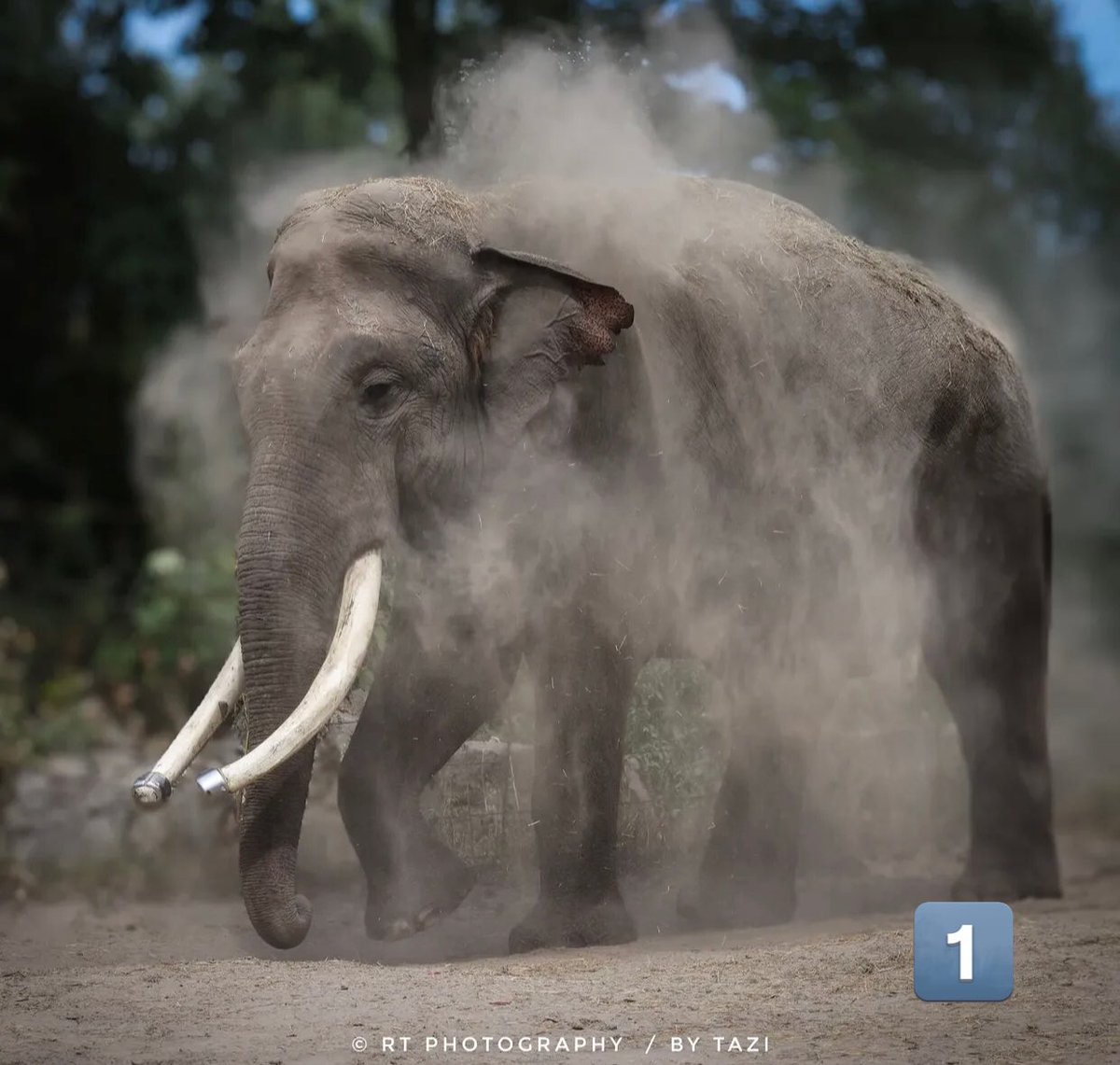 Nino🇸🇦 tweet media