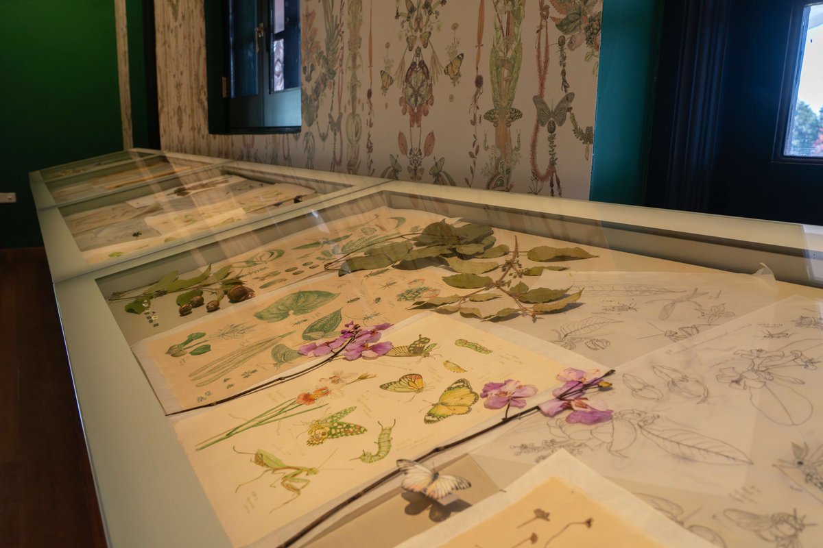 National Parks Board tweet media