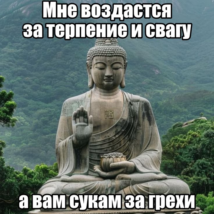 дон скайуокер tweet media