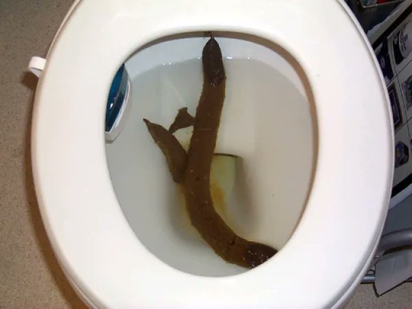 blablabla tweet media