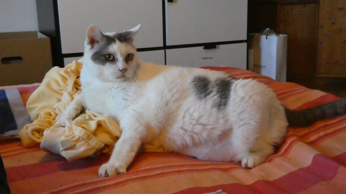 Beat Stocker tweet media