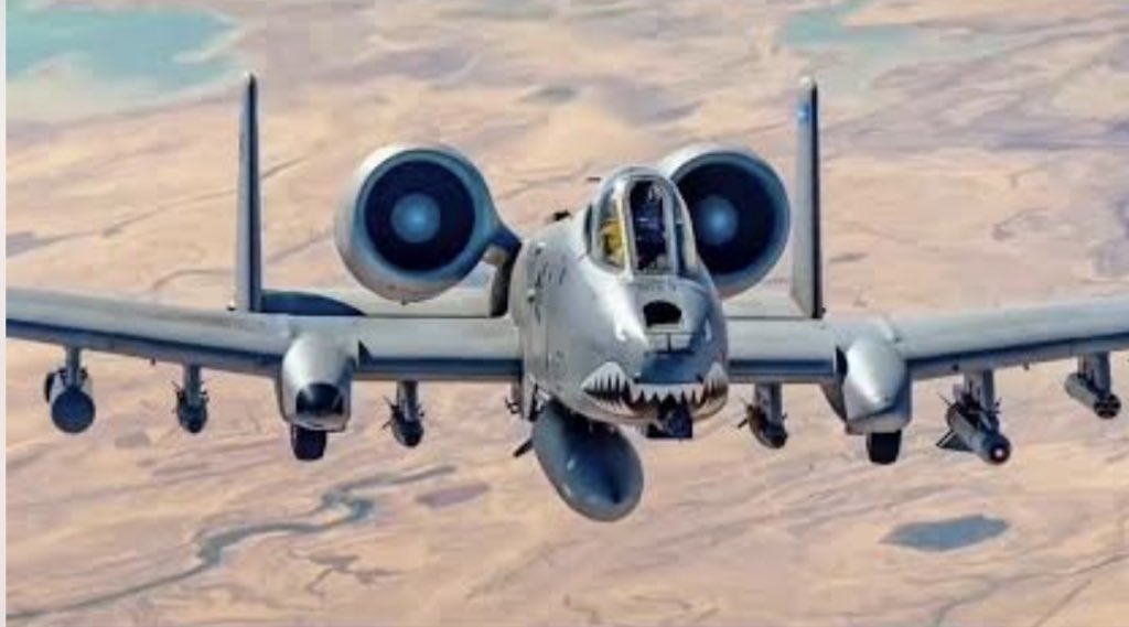 شيماء سبت Shaima Sabt tweet media