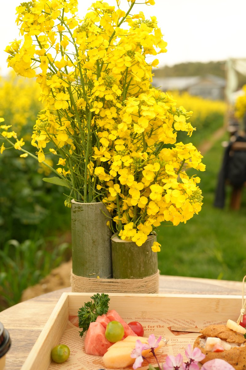 Hi_Deqing's tweet image. 100+ families from across Yangtze Delta claimed 12 acres at #Deqing Jiangnan Origin Cultural Heritage Park! 400+ urban dwellers embraced farming, spring flavors &amp;amp; outdoor fun—reconnecting city life with the land!  #UrbanFarming #FamilyFun #SpringFestival #YangtzeDelta
