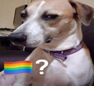 ✏︎lia la dibujista☺︎ tweet media