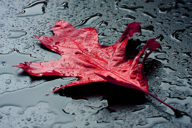 Pete Parshuram tweet media