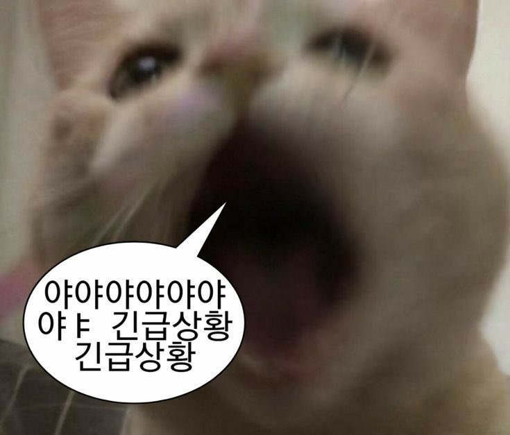 𝗕𝗲𝗴𝗶𝗻✮ tweet media