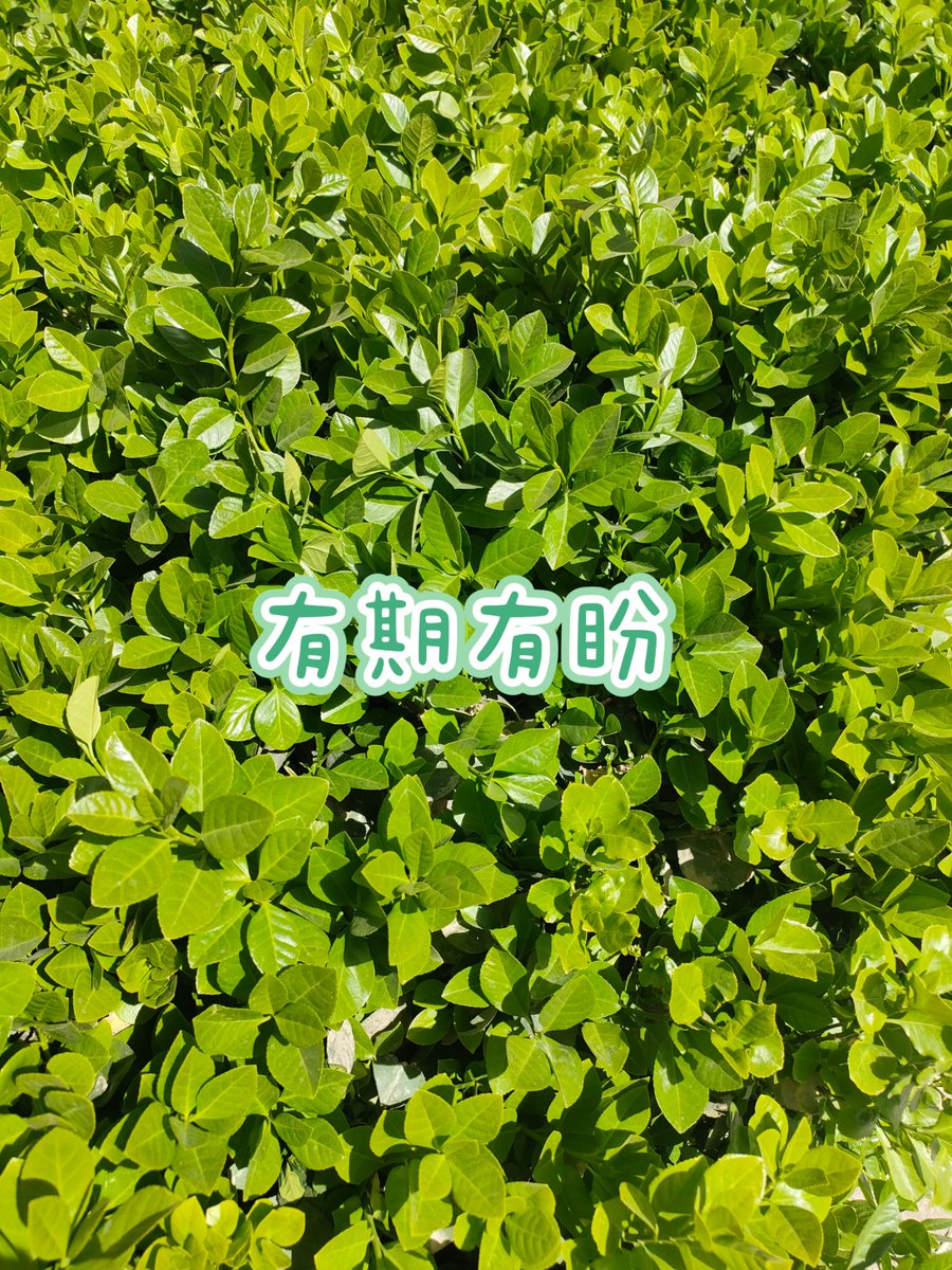 @XJ-hexieksh🇨🇳（互fo） tweet media