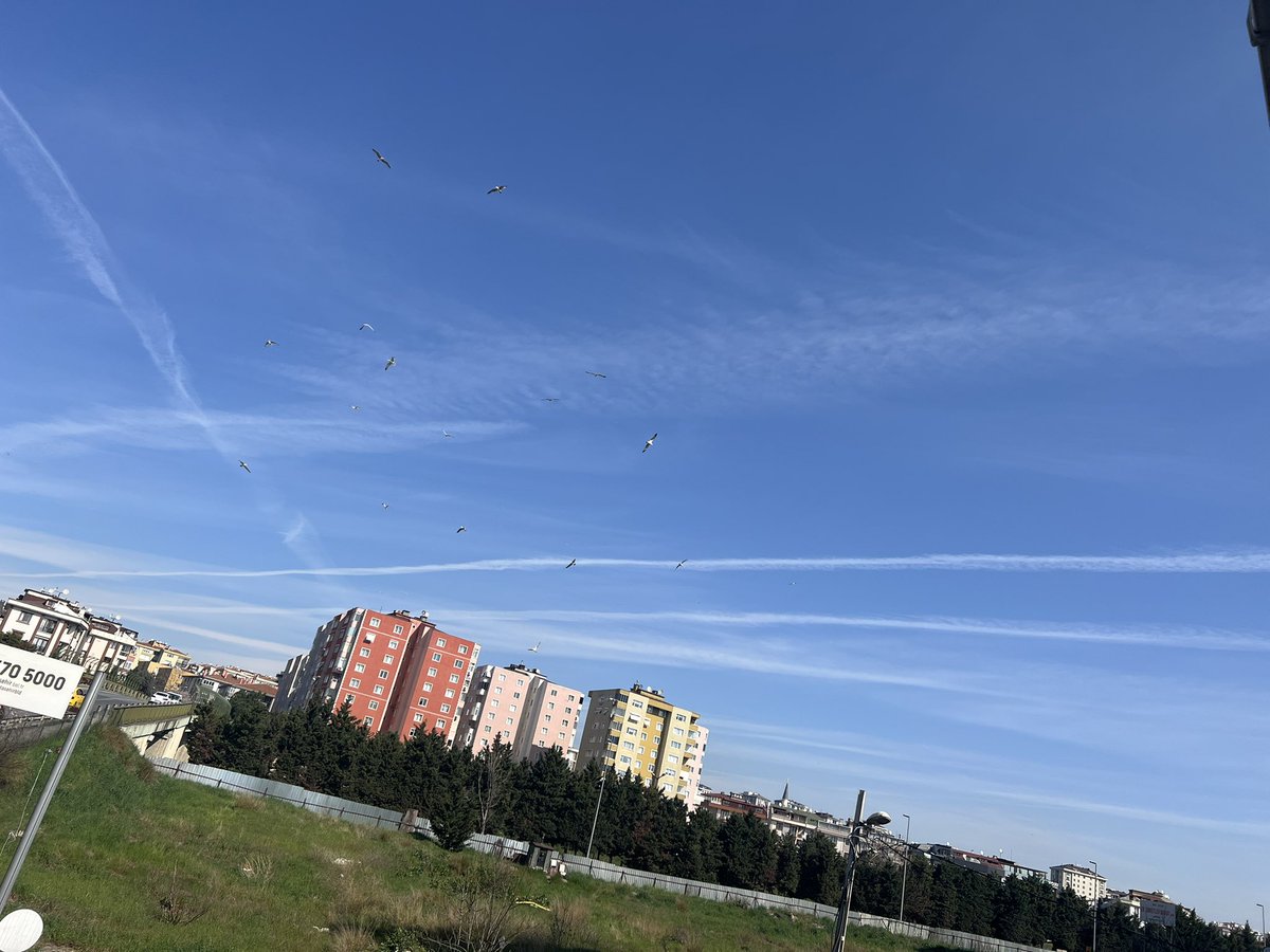 Murat AKAN 🇹🇷 tweet media