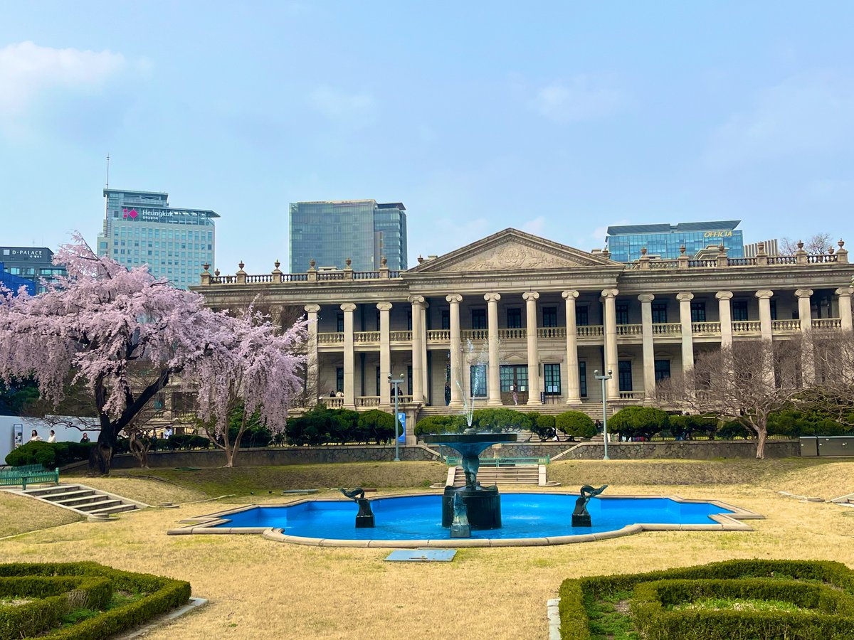 Nessa 넷사 tweet media