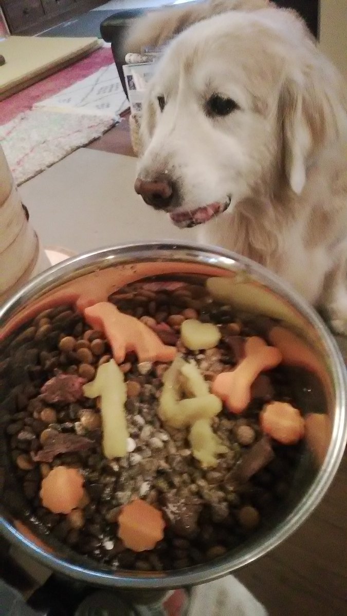 庄司岳洋🇮🇹 tweet media