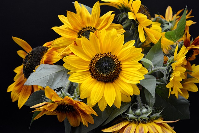 MoralesSco39574's tweet image. 조금만 바꾸면 좋아져요 chỉnh sửa là bước cần thiết التعديل يغير النتيجة

#CreativeStrategies #BuildingWith