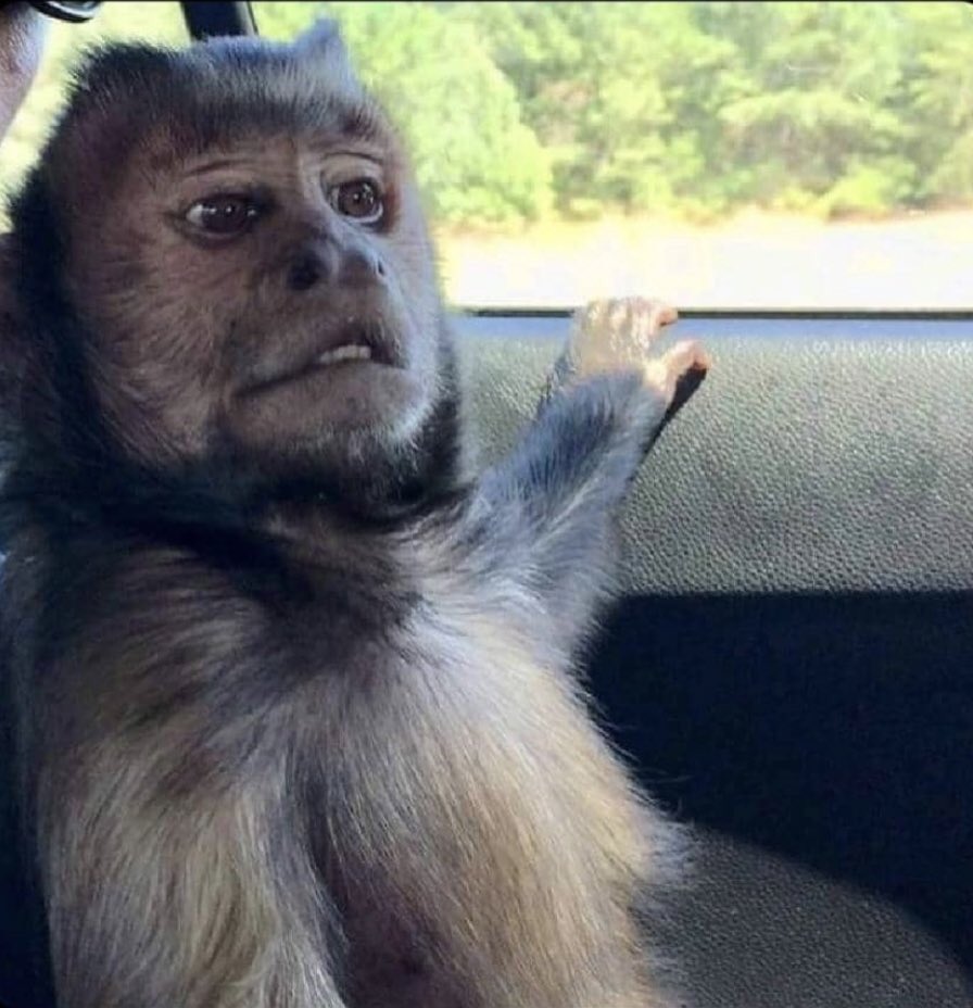 VARDYTHEEGOAT 🧸 tweet media