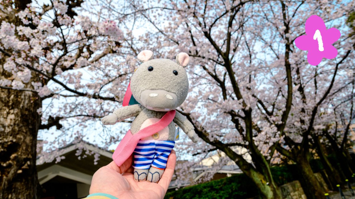 トガリちゃんねる tweet media