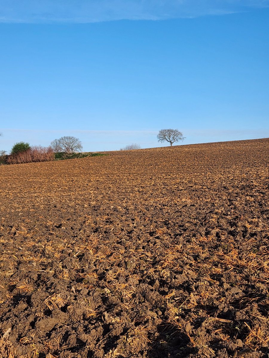 r.e.g.i.n.aCaptures tweet media