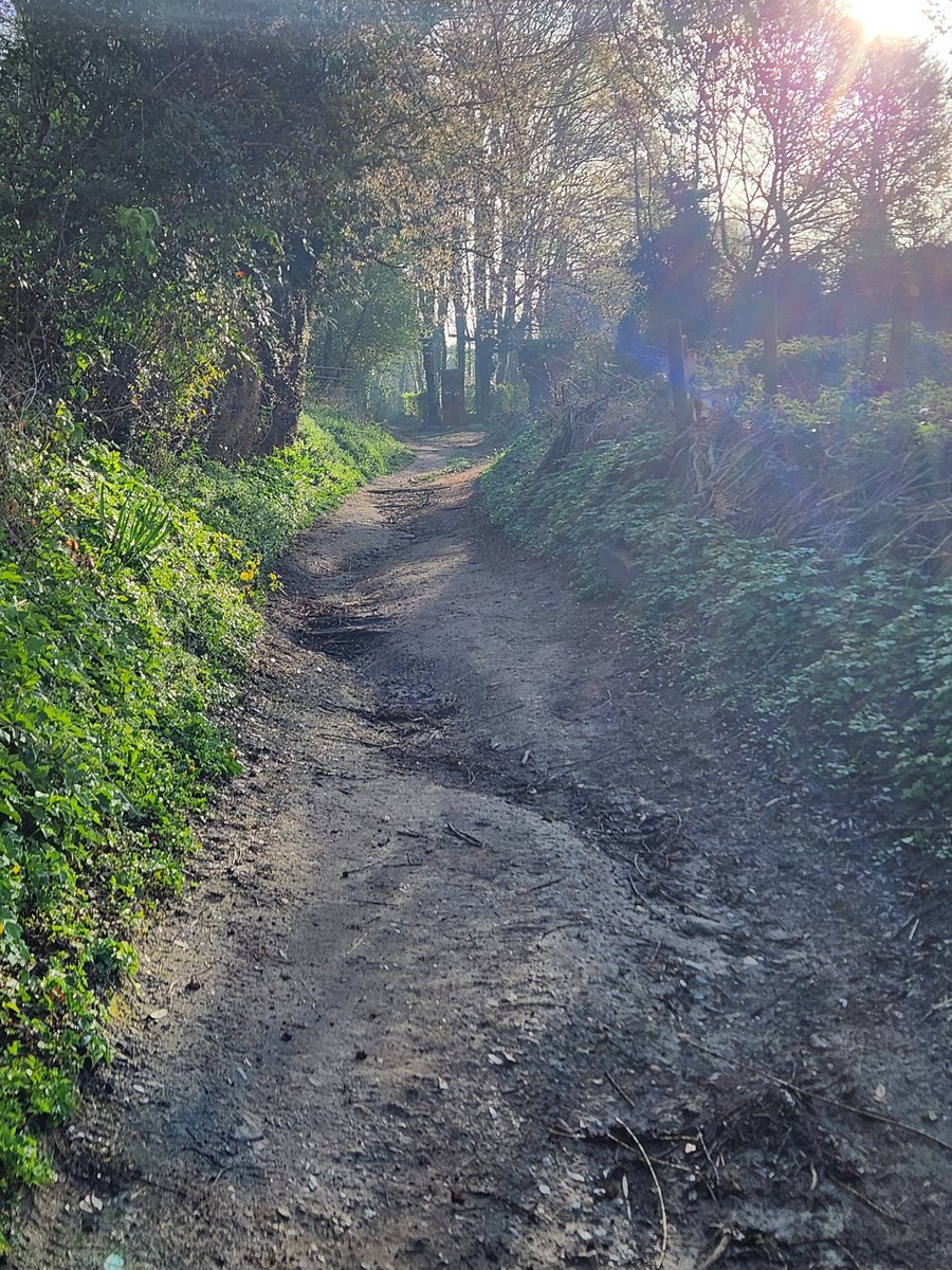 r.e.g.i.n.aCaptures tweet media