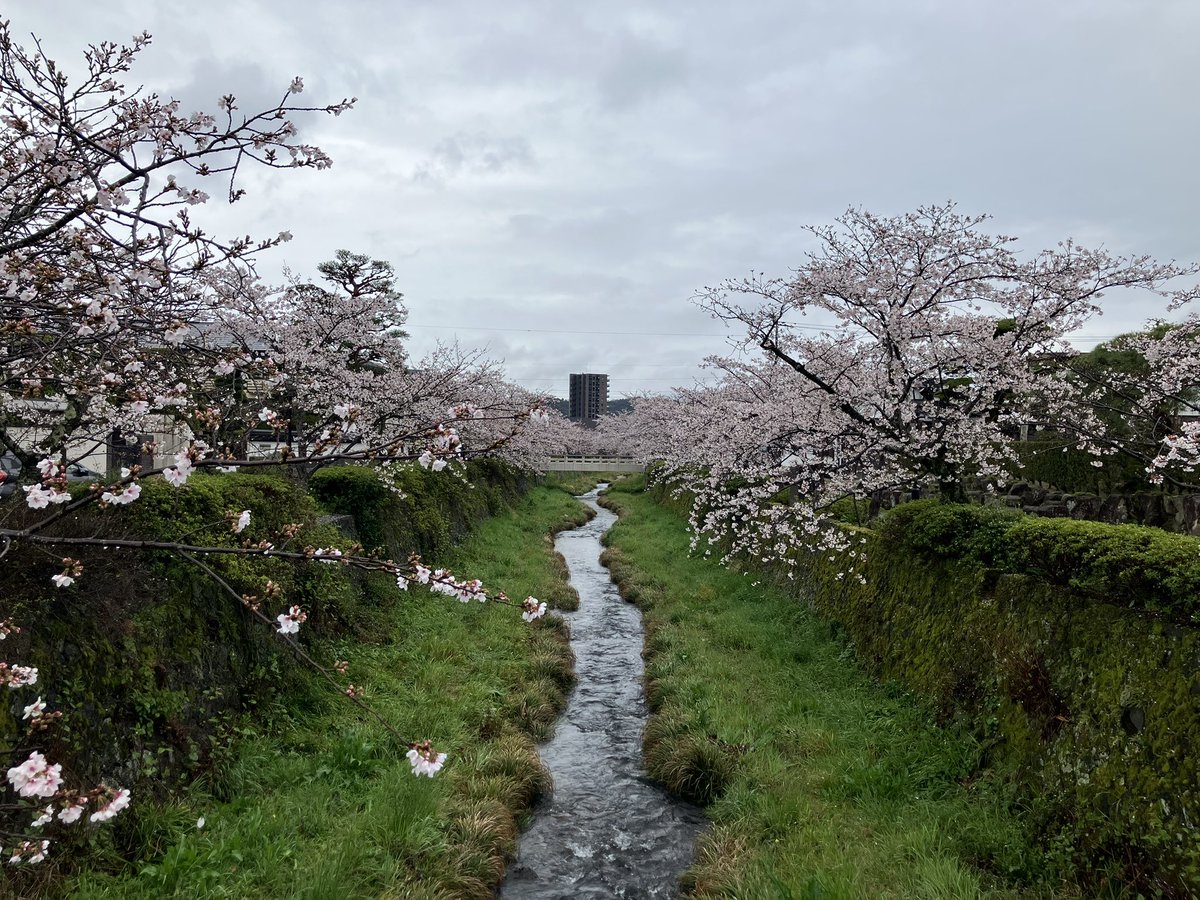 🦀菜門アタロウザ🦑 tweet media