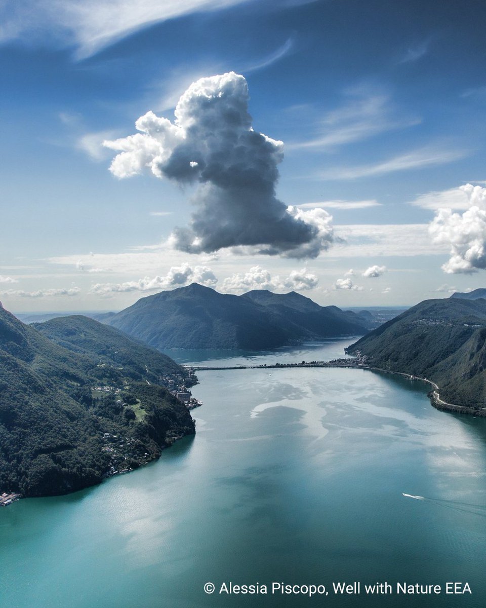 EU EnvironmentAgency tweet media