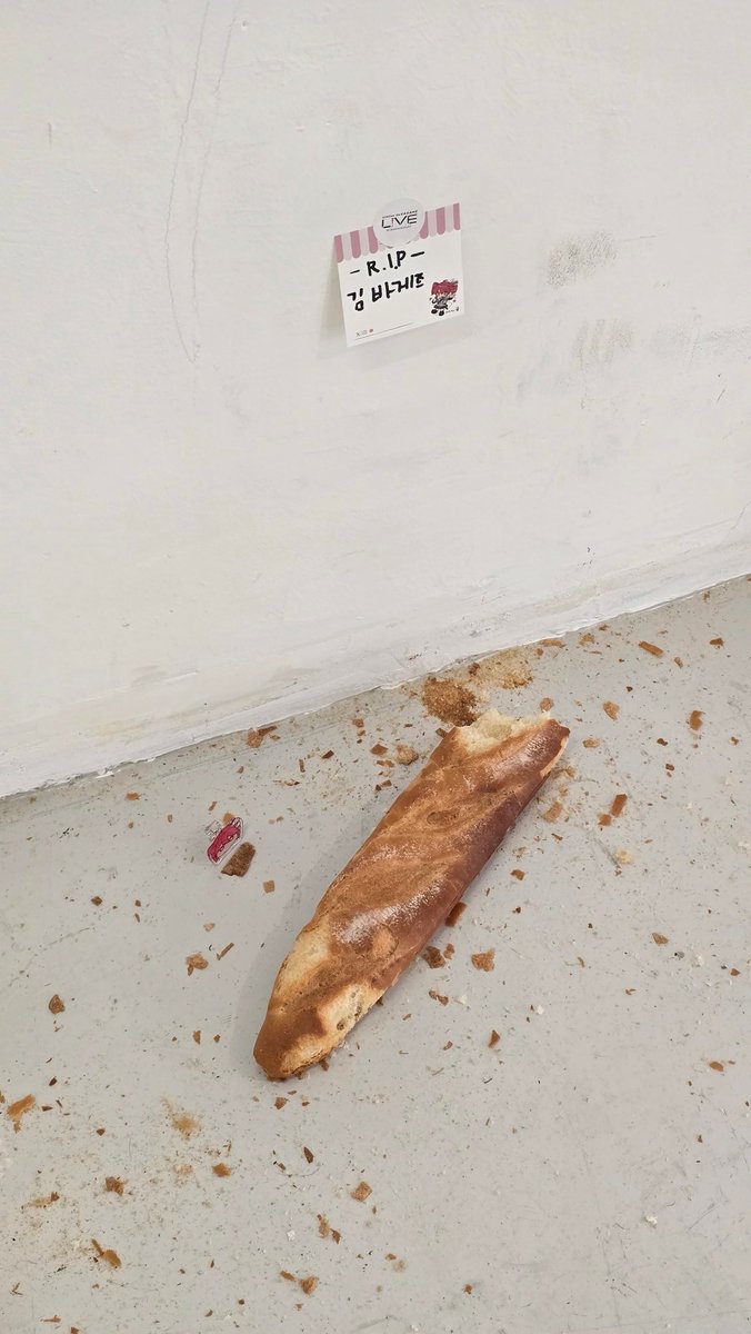 빈모드/binmode tweet media