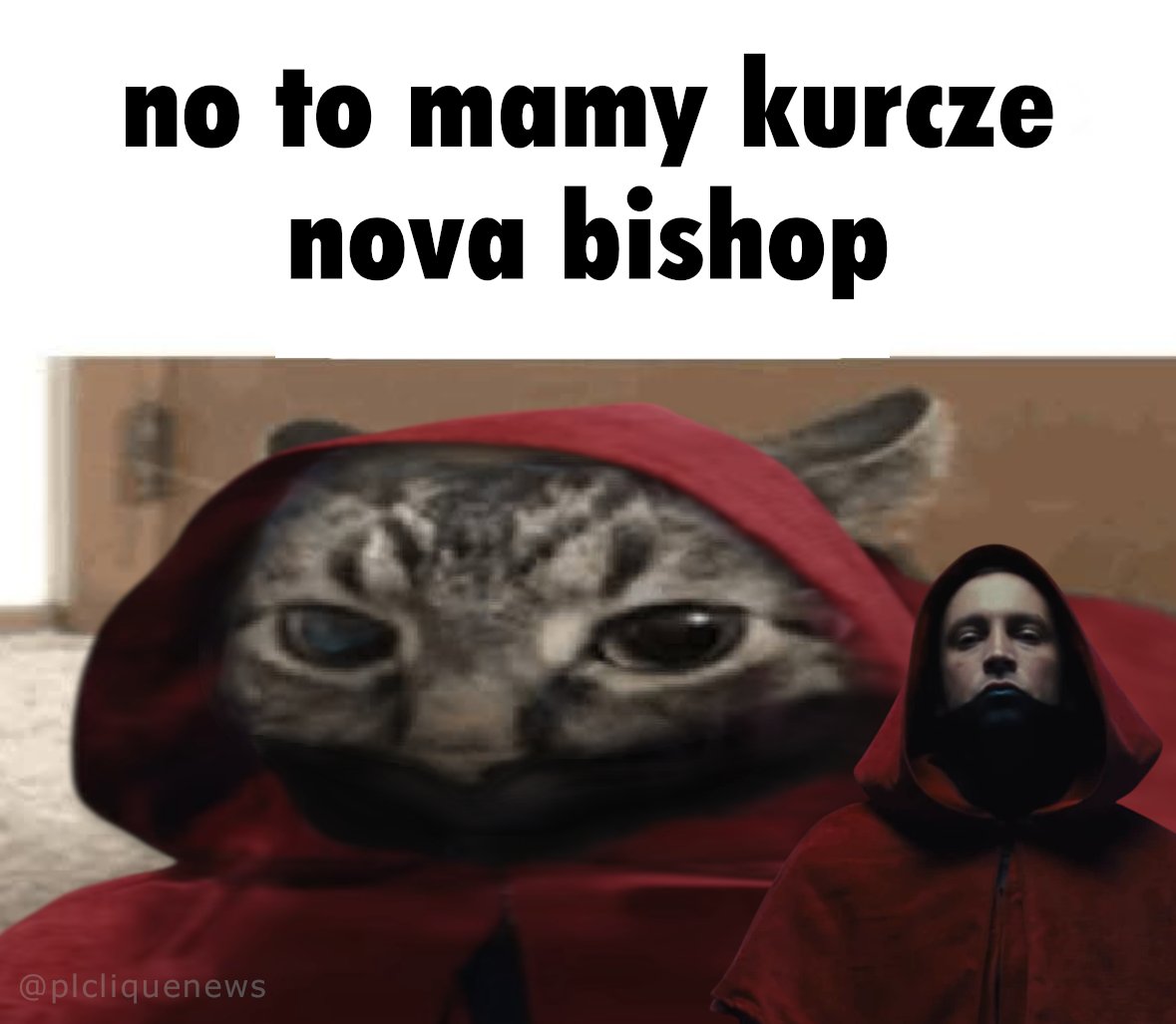 Polish Clique News tweet media