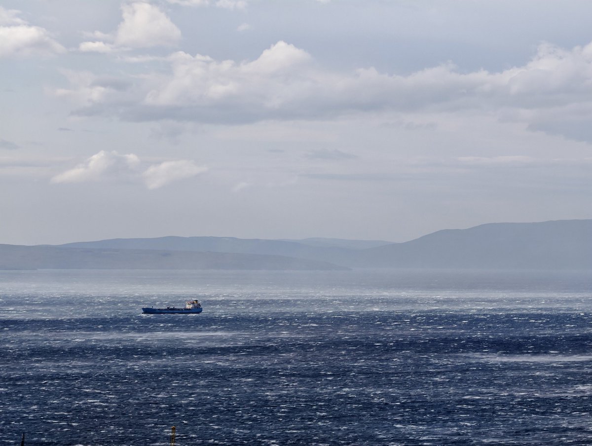 Petar Pero tweet media