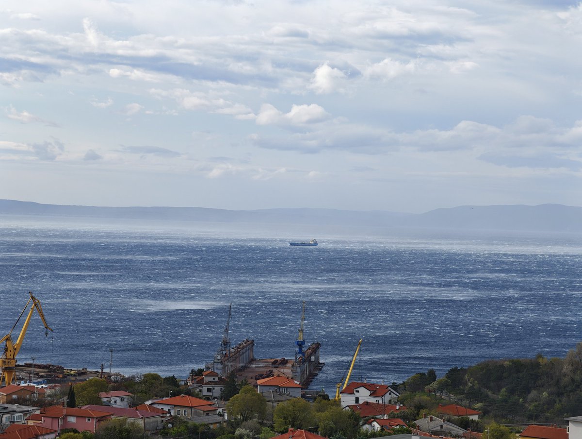 Petar Pero tweet media