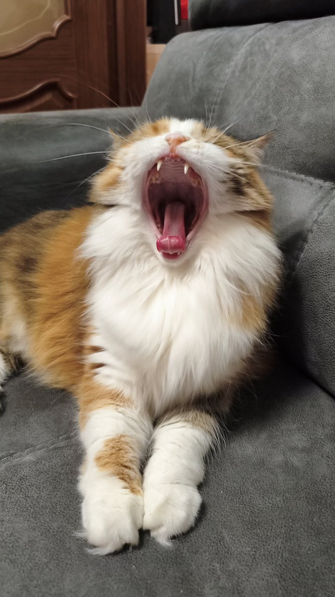 Ron Dalton tweet media