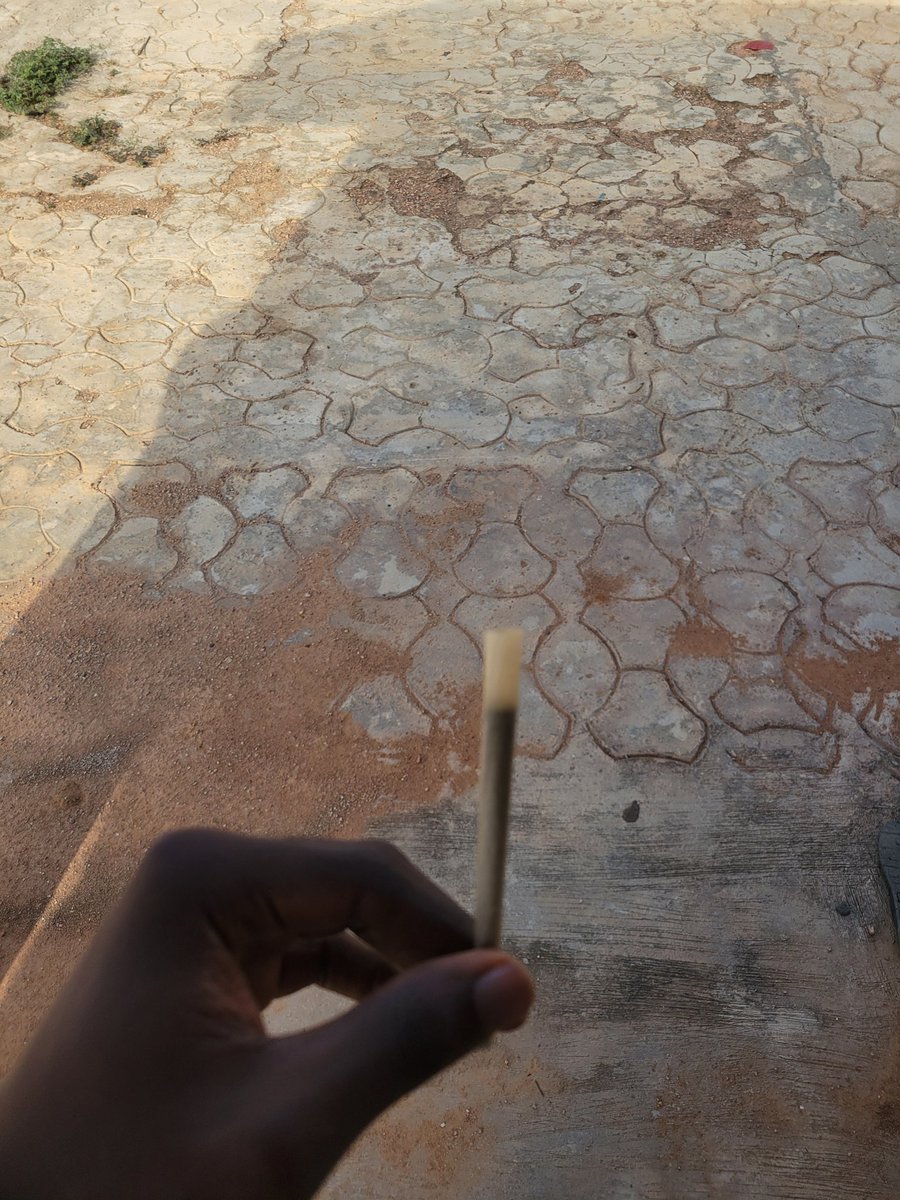 Unique 💧 tweet media