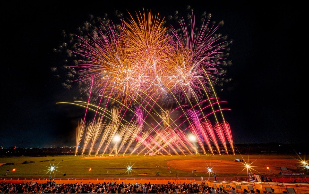 葛飾区 tweet media