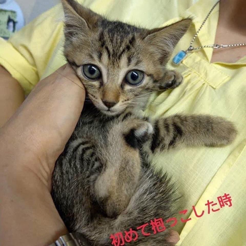 mieko⭐︎BROS.5期生 tweet media