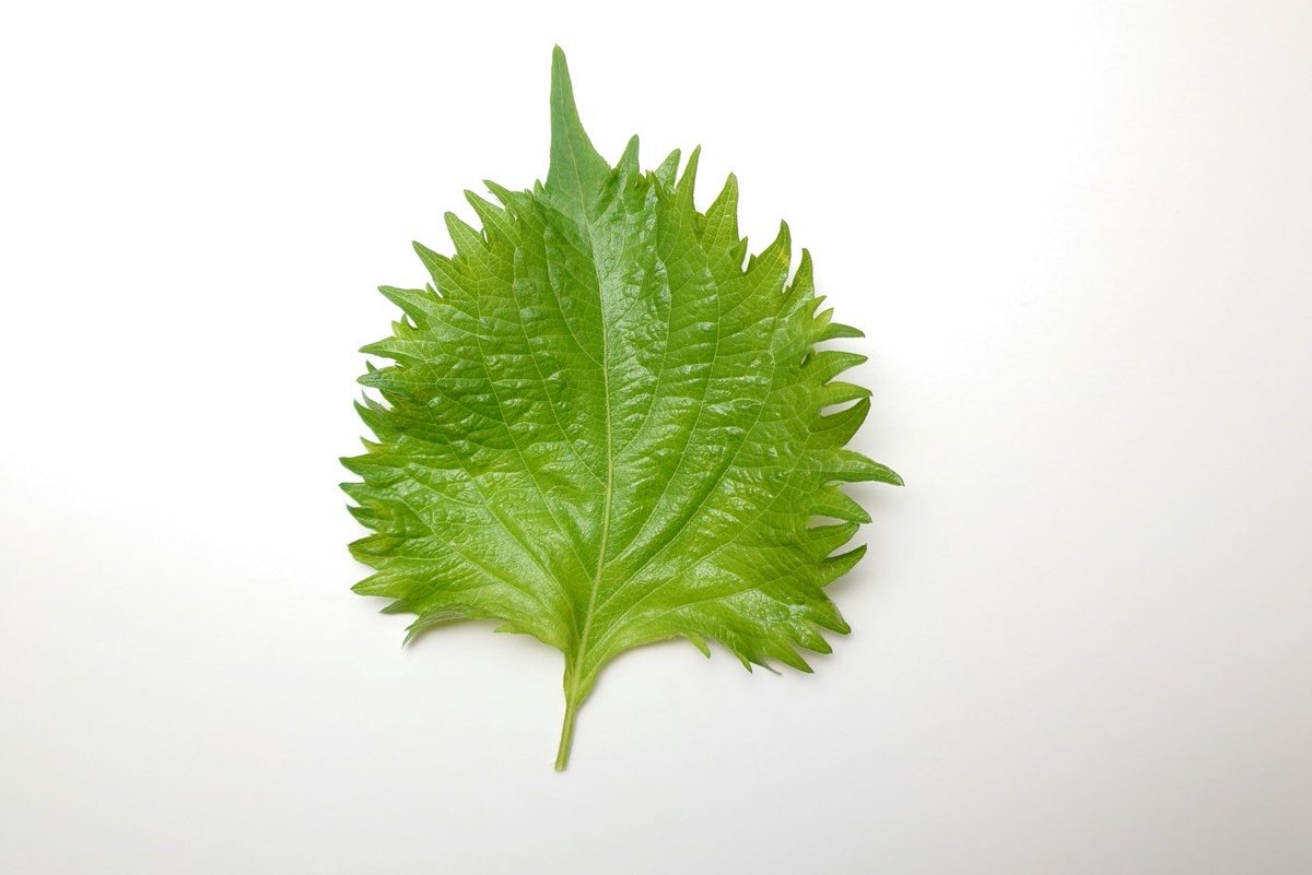 迫英雄 tweet media