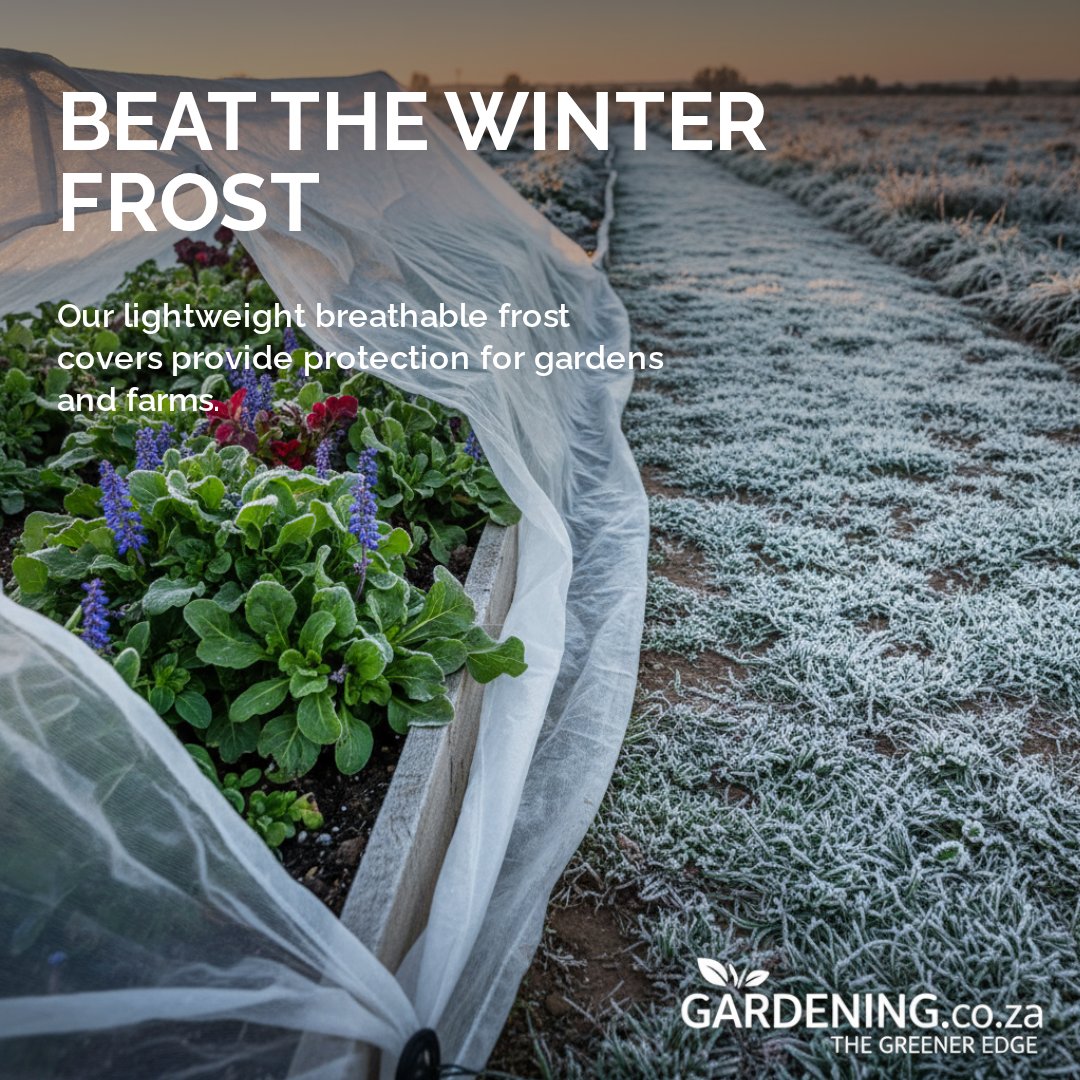 GardeningCoZa's tweet image. ❄️🌱 Beat the Winter Frost and Protect Your Plants
📩 DM us for more information

#FrostProtection #WinterGardening #ProtectYourPlants #GrowYourOwnFood #GardeningSouthAfrica #gardeningcoza