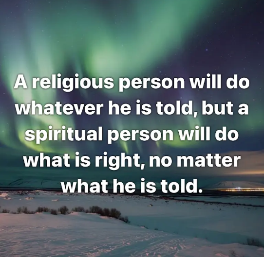 𝗘𝗟🐕⚒️👁️⃤ tweet media