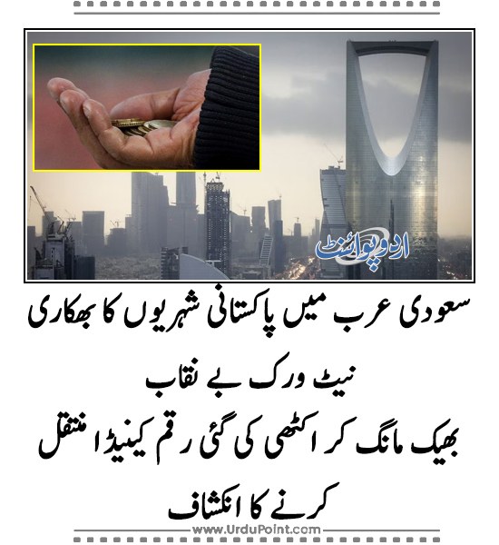 UrduPoint اردوپوائنٹ tweet media