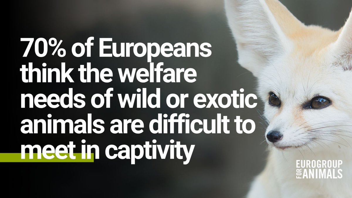Eurogroup For Animals tweet media
